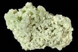 Green Prehnite Crystal Cluster - Morocco #80682-2
